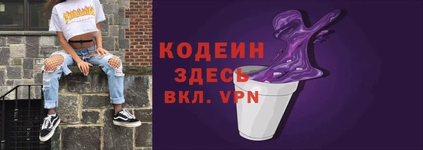 гашик Тында