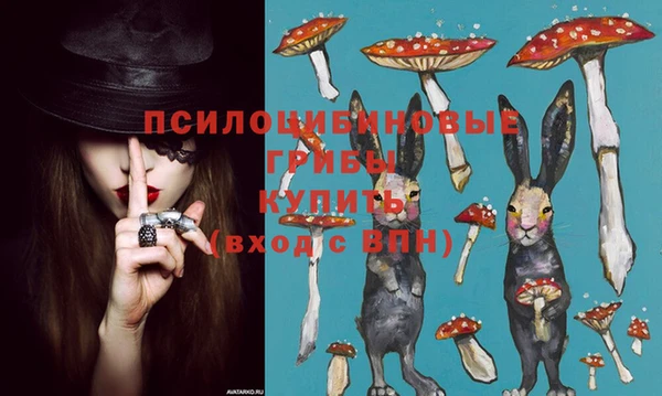 ешки Богданович