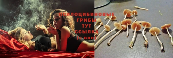 мяу мяу кристалл Туринск
