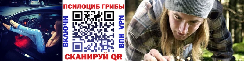 Псилоцибиновые грибы Cubensis  Белоярский 